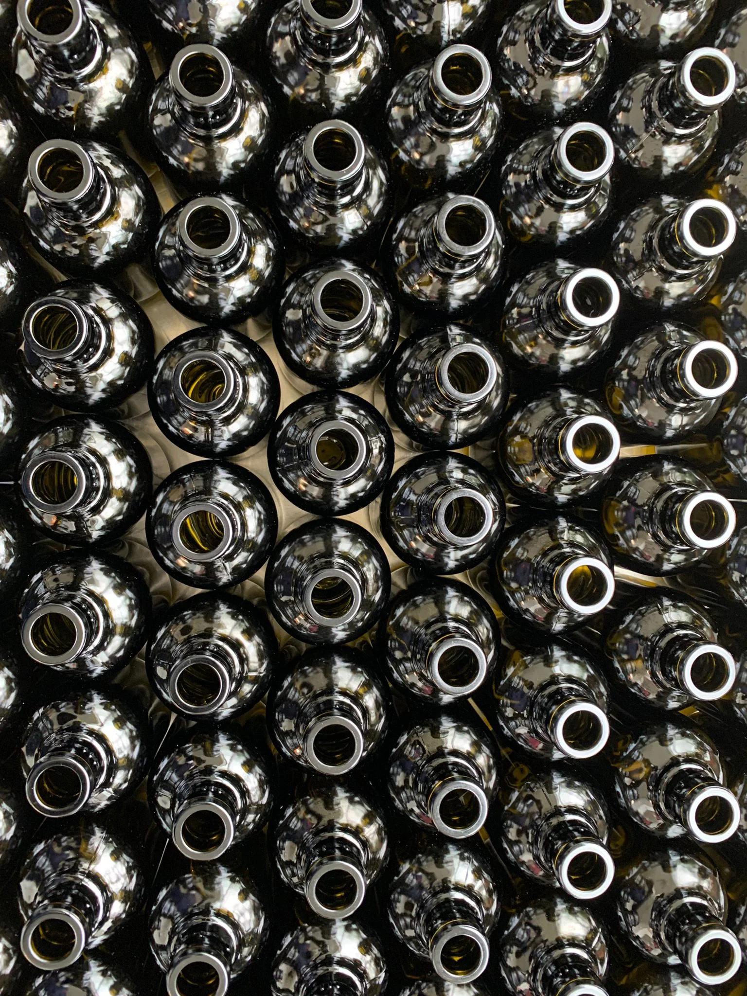 bouteilles -embouteillage.webp