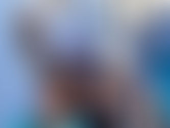 Qu’est-ce qu’un nouveau voyageur ?