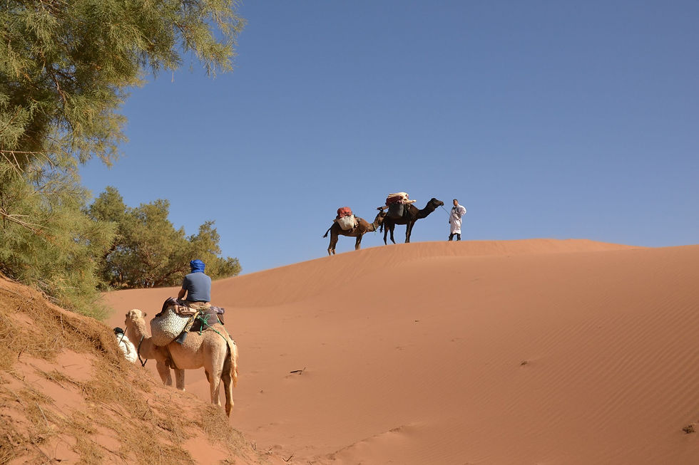 Meharee desert: 10 jours & 9 nuits