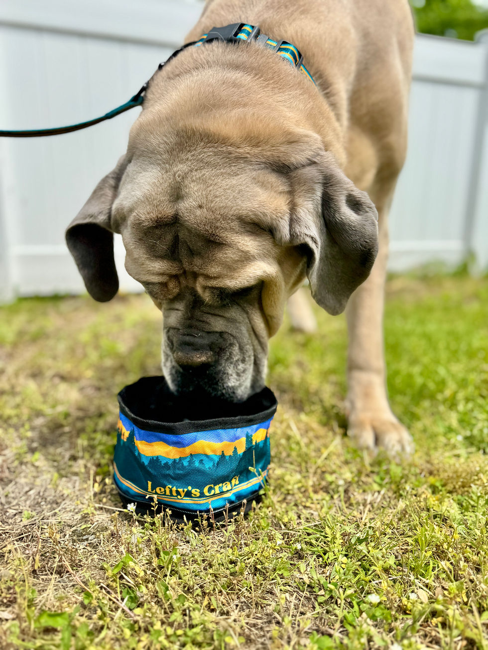 Thumbnail: Travel Dog Bowl - Trailblazer