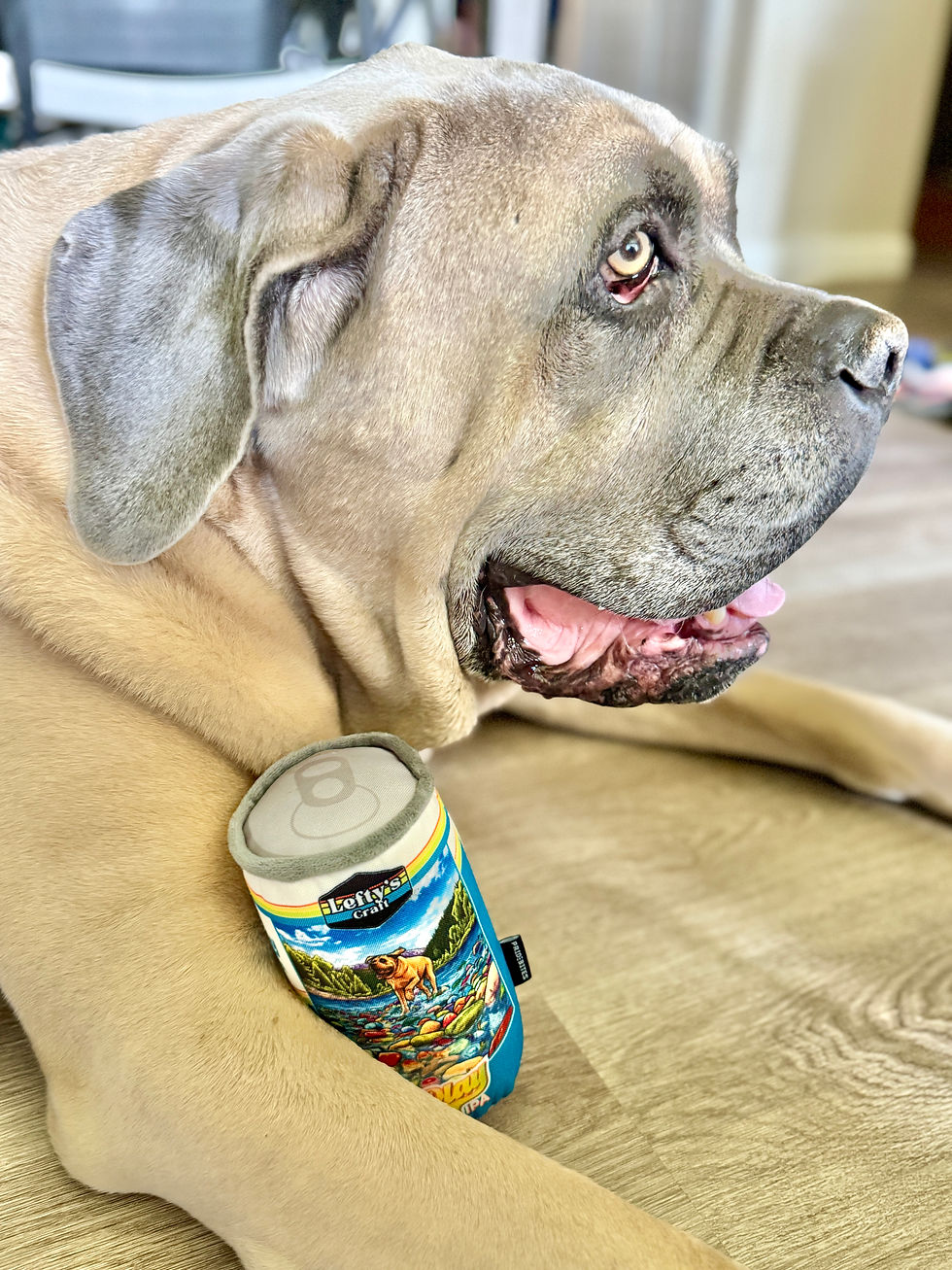 Thumbnail: Dog Toy - Play IPA Beer Can Toy