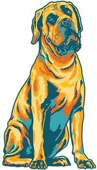 Axle_Multicolor.png