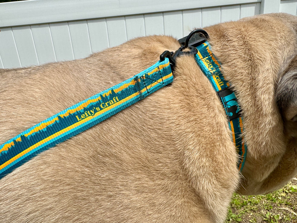 Thumbnail: Dog Collar - Trailblazer