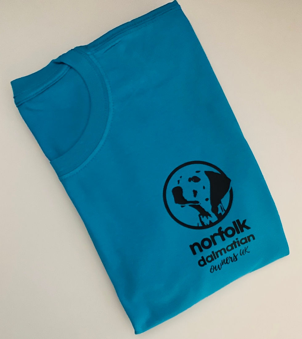 Thumbnail: Norfolk Dalmatian Tee