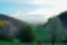 DSC02317_edited.jpg