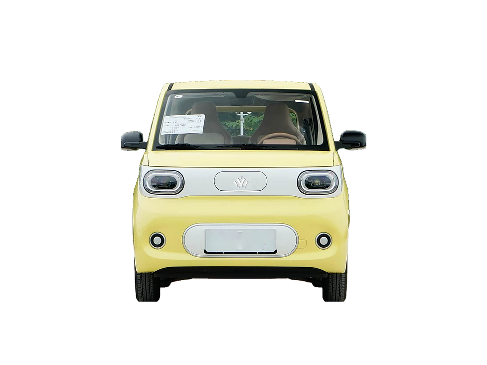 Elveon MinE Yellow Front