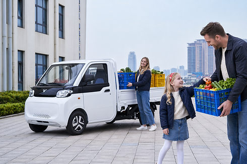 Danish in use Mini Pickup.png