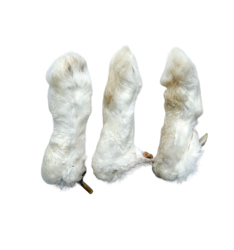 Hairy Rabbit Feet | The Little Pad