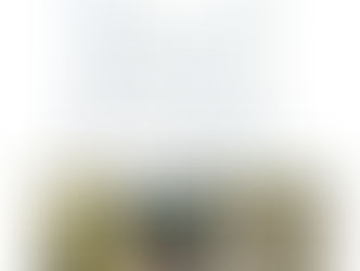 ЦИФРОВОЙ ДВОЙНИК ПОЛЯ —РЕВОЛЮЦИЯ В ОРОШЕНИИ