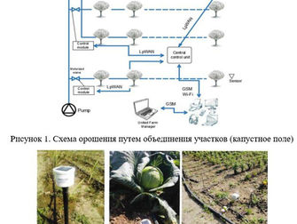 ЦИФРОВОЙ ДВОЙНИК ПОЛЯ —РЕВОЛЮЦИЯ В ОРОШЕНИИ