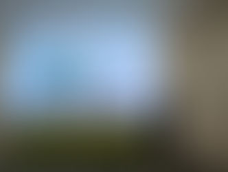 РАЗВИТИЕ ЦИФРОВЫХ ТЕХНОЛОГИЙ В САДОВОДСТВЕ