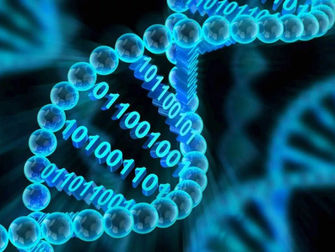 УСПЕХ - В МЕЖДИСЦИПЛИНАРНОСТИ!