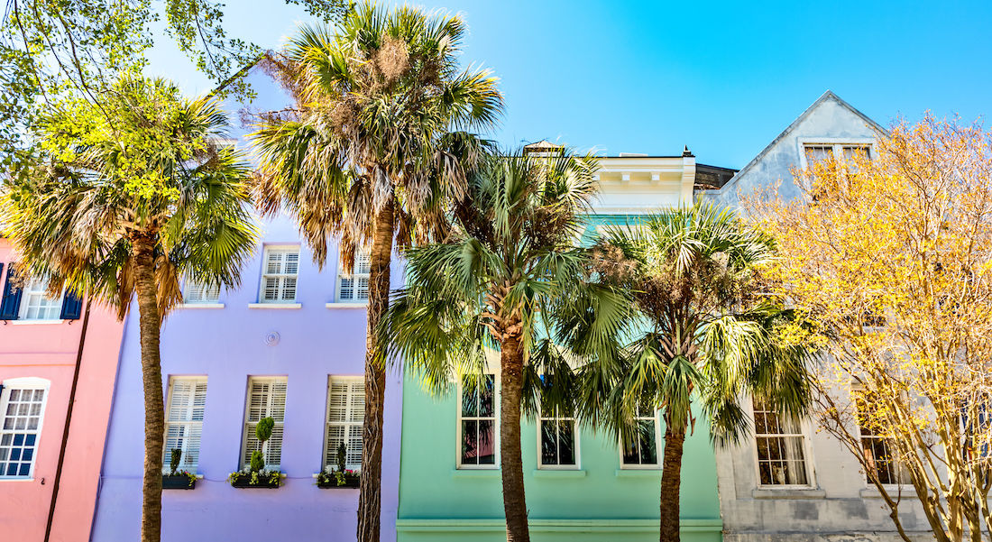 1 Rainbow Row with Palmettos SMALL.jpeg