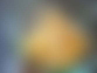 柑橘加工所だより