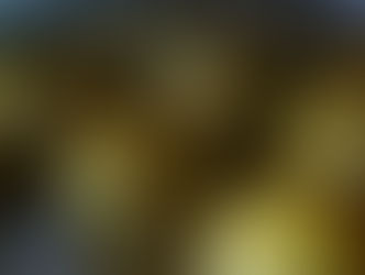 ほんとうの冬をまえに