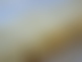 つめたいデザートつくりました。