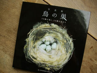 「写真集 鳥の巣」