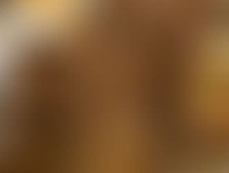 ぬくぬくないろいろ