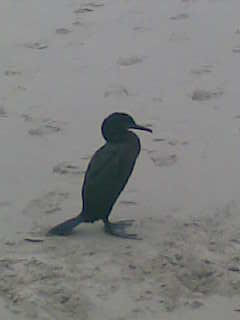 Consequences of unworthiness