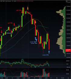 When the Market Stops Making Sense