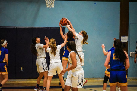 basketball2.jpeg