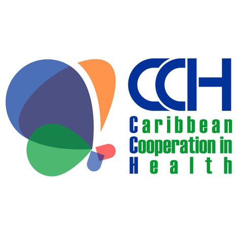 CCH logo 15x15cm