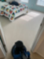 Elite Clean caring for carpet