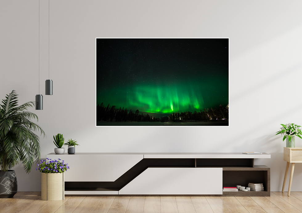 Miniaturbild: Grüne Nordlichter am Nachthimmel über einer Waldlandschaft