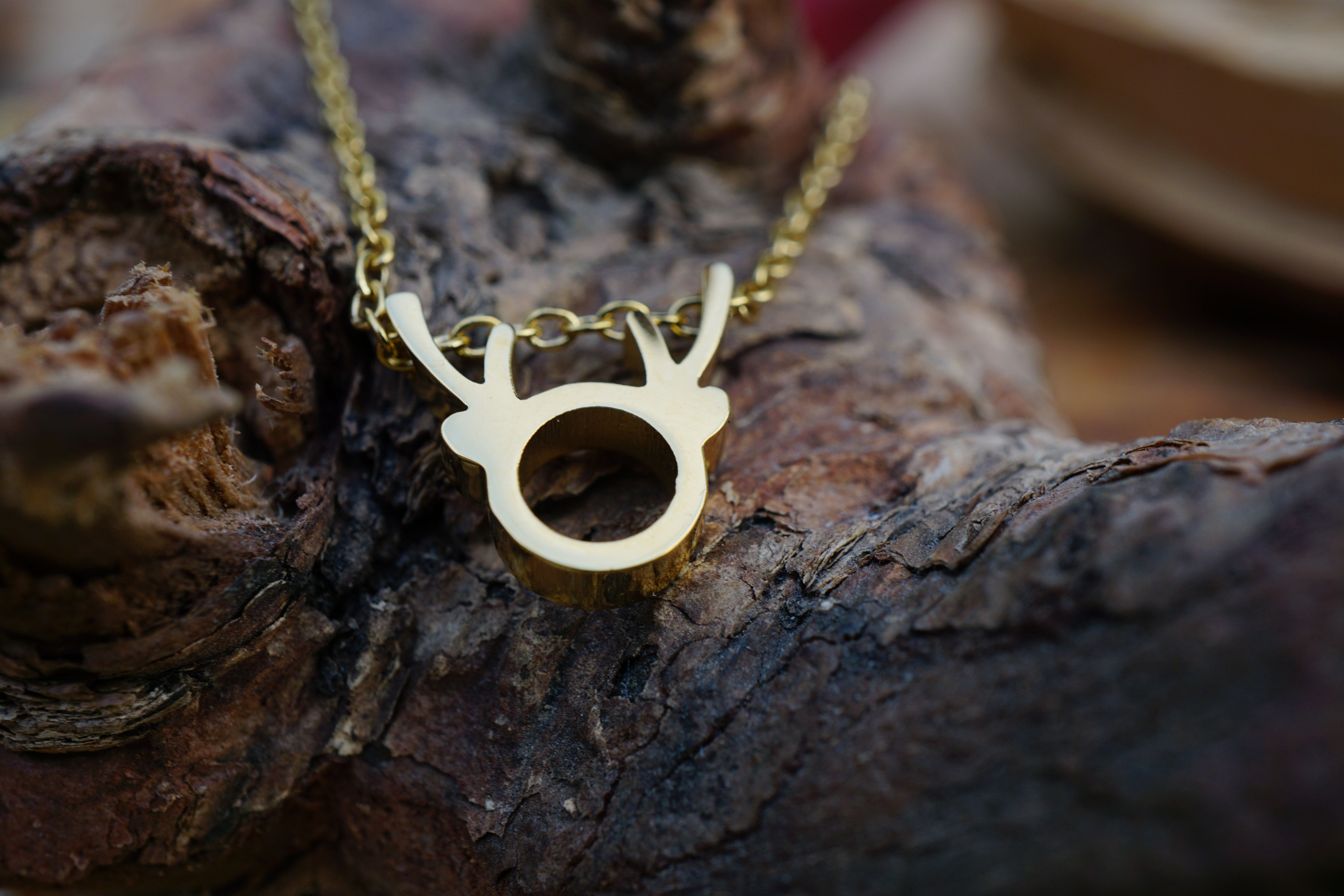 "RUDOLPH"
