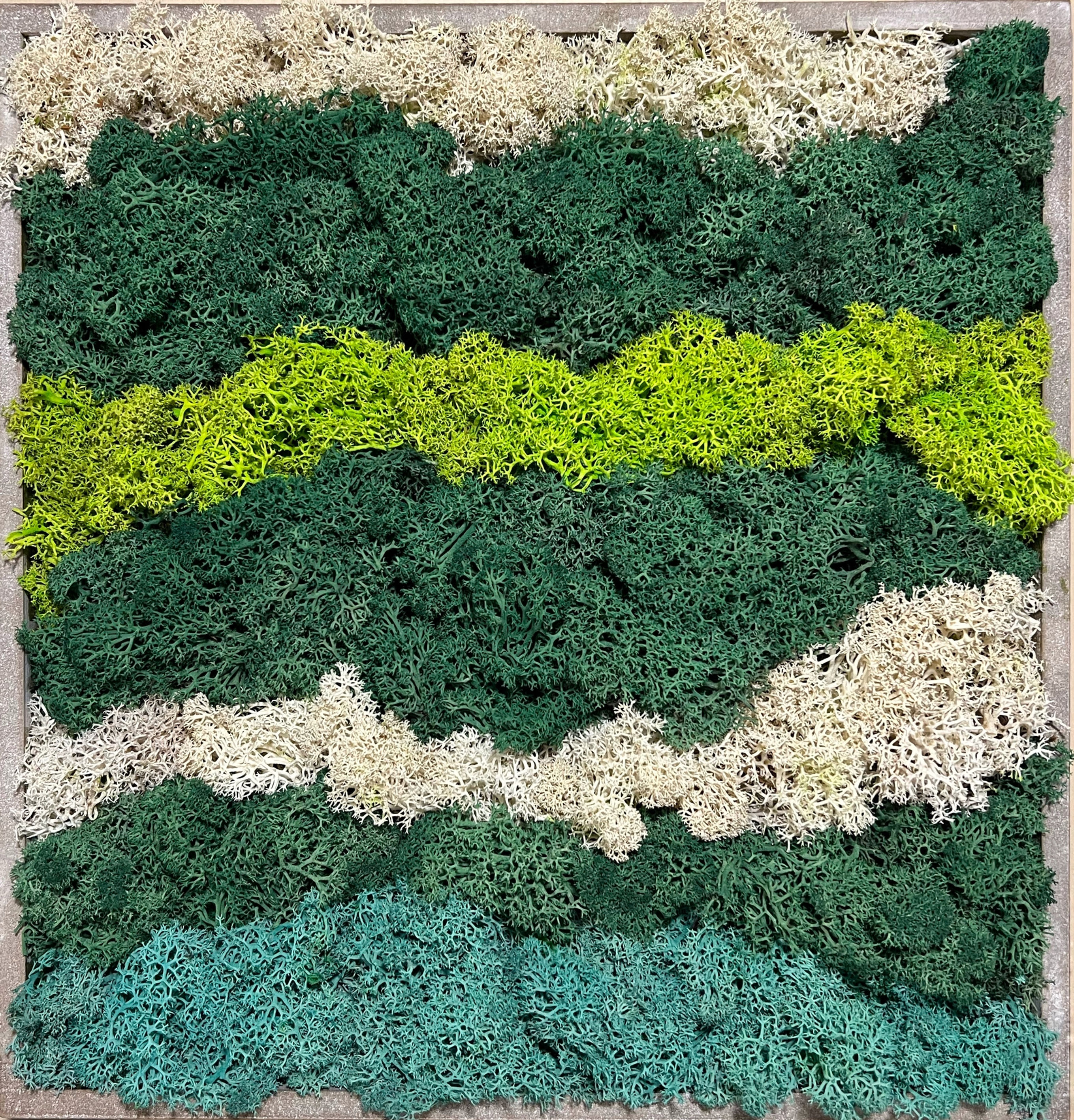 Moosbild / Diptychon "IRELAND"