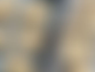 Gluten Free Sour Cream Chocolate Chip Scones