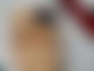 Gluten Free Biscotti Four Ways