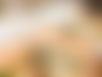 Roasted Turkey & Fig Sandwich