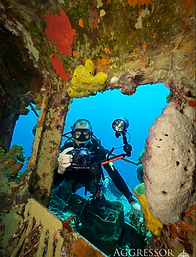 Diving in the Caymans