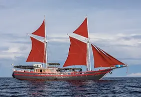 Thailand-Master-Huw-Penson (1).webp