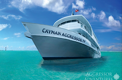 Cayman Aggressor IV