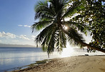 Fiji beach