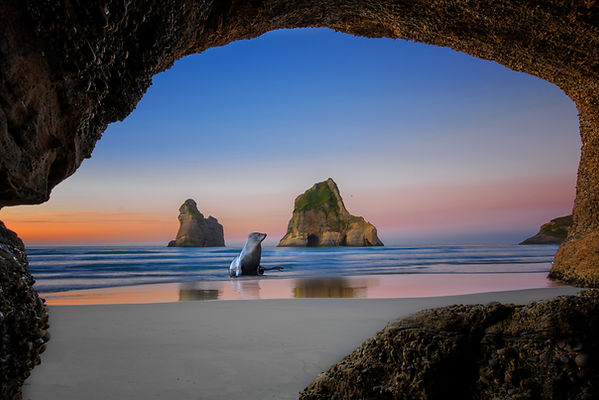 Wharariki Beach Nelson