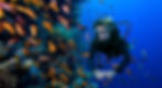 red_sea_AdobeStock_69638773.jpeg