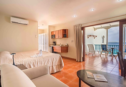 Deluxe Junior Suite