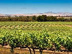 Barossa Valley