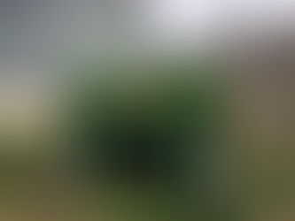 No-till Drills Ready for Rental