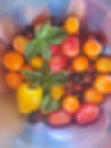 Fresh cherry tomatoes and basil from EcoSchool garden