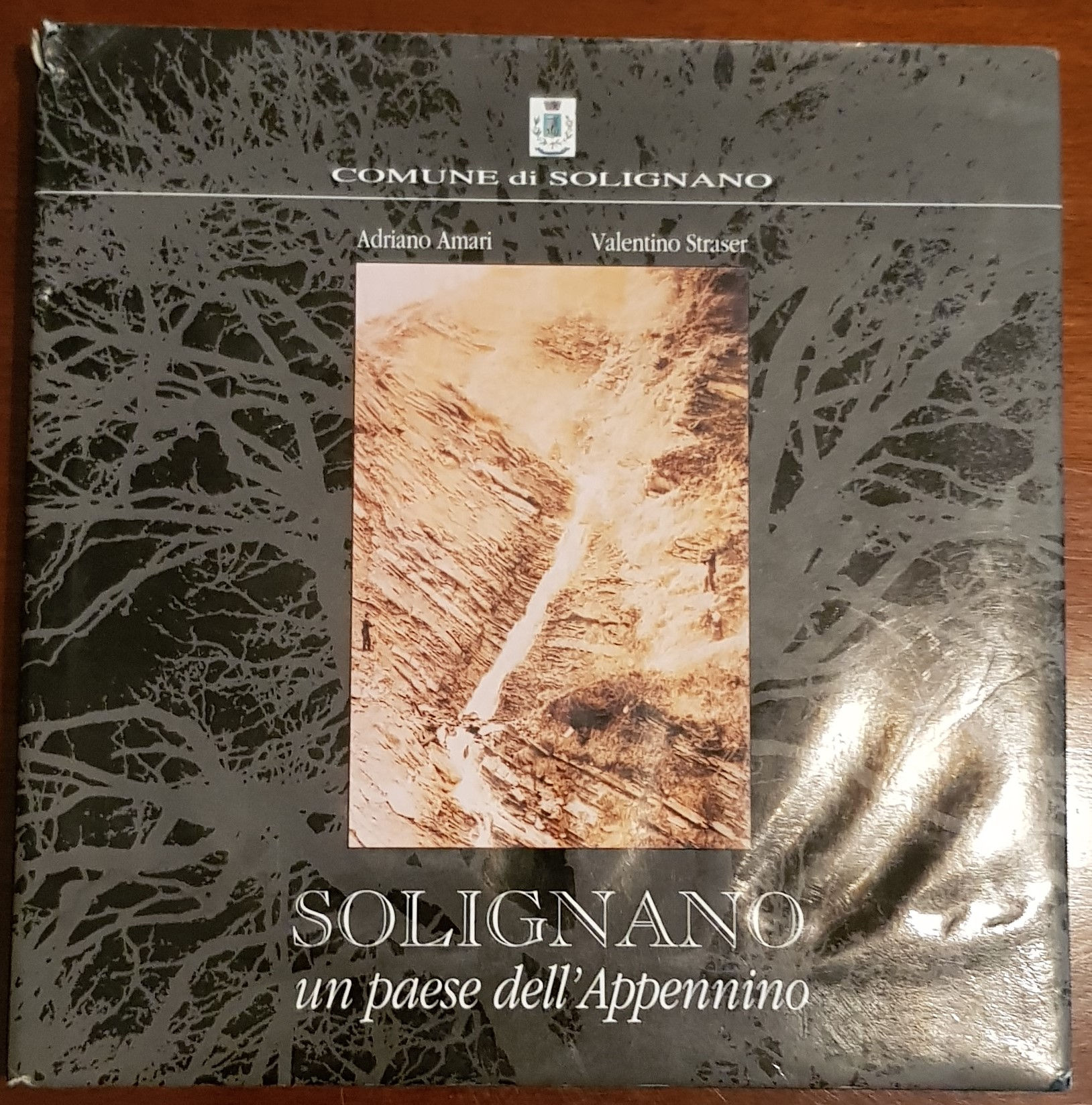 Libro Comune di Solignano un paese dell'appennino