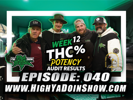 The High Ya Doin Show Episode: 040- Week 12 THC Potency Review