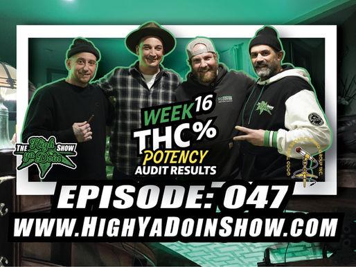 The High Ya Doin Show Episode: 047 - Week 16 THC-A Throwdown: Legacy vs. Legal Market - Khalifa Kush, M1, and Don Mega