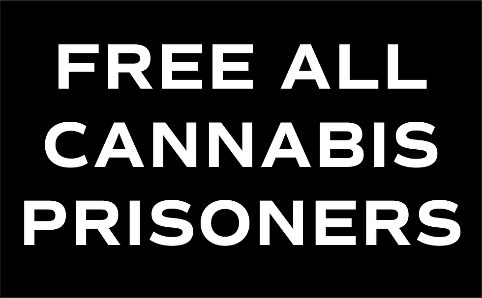 Cannabis Podcast Chris Faraone