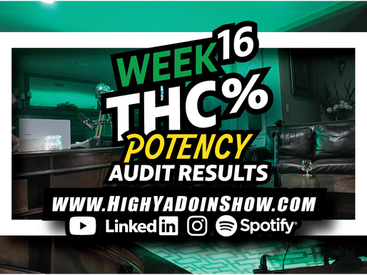 Week 16 THC Potency Review: Khalifa Kush, M1, and Don Mega