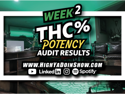 Week 2 THC% Potency Audit Review. Testing Cannabis flower samples