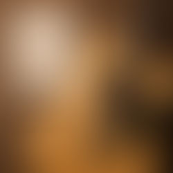 לימוד גיטרה לבד: מדריך צעד אחר צעד למתחילים בכל גיל